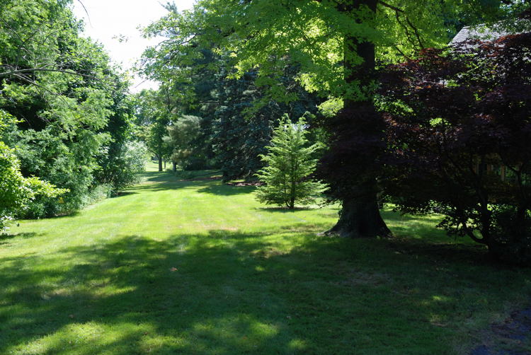 Backyard view to Lagoon